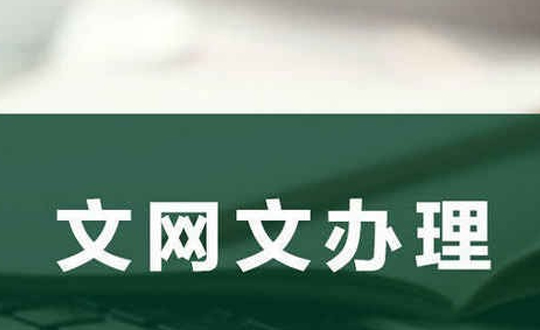 如何办理文网文续延